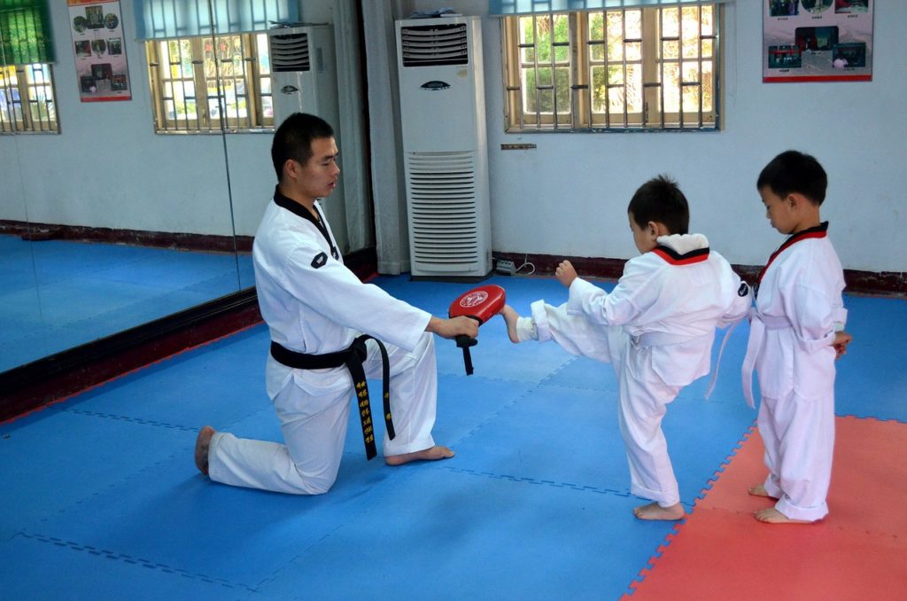 Kyokushin Kids – introducere in artele martiale pentru copii