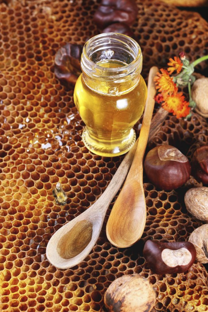 Apiterapia si terapia cu venin de albine