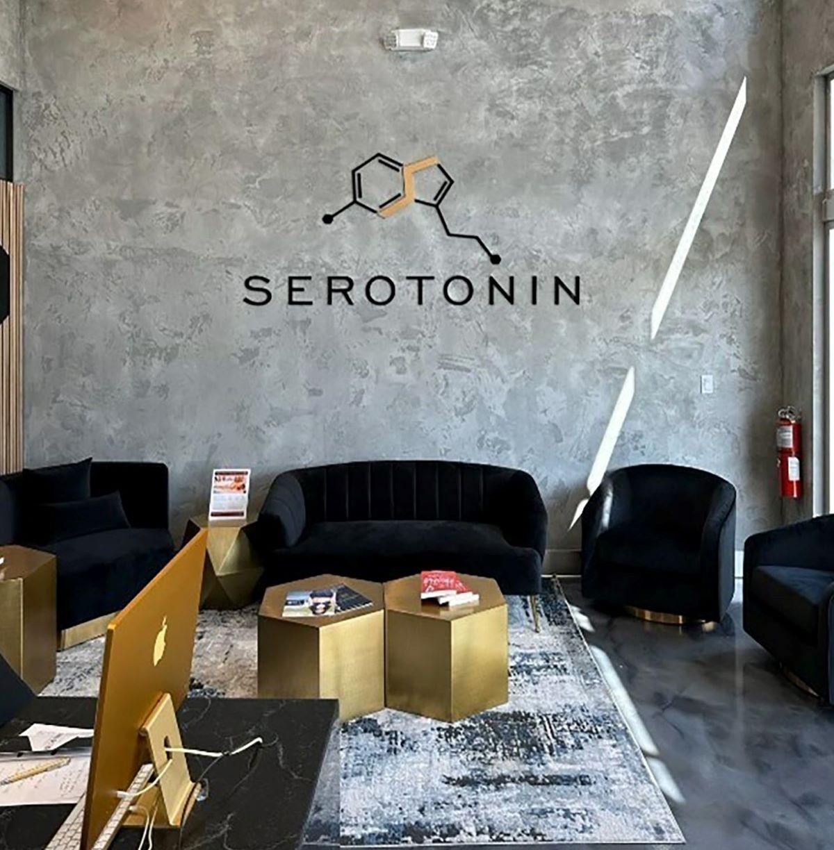 Serotonin center